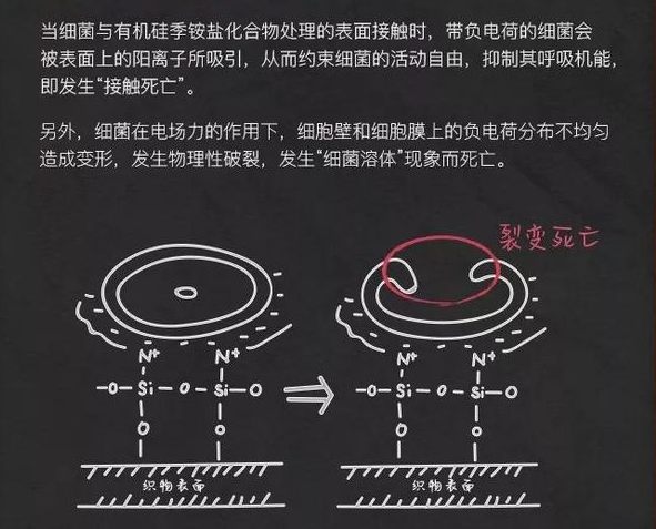 %title插圖%num