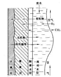 %title插圖%num